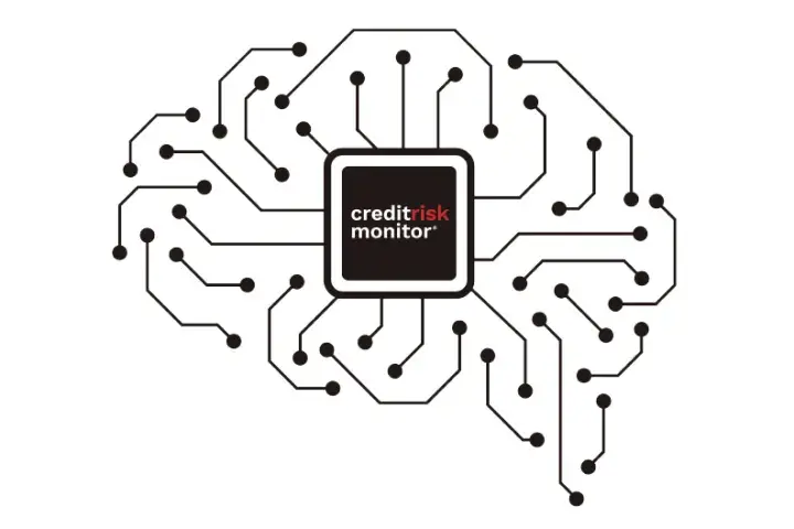 Leveraging AI for accurate private company bankruptcy risk assessment, we were successful in predicting 77% of bankruptcies in 2019 with the PAYCE® score. Leveraging AI for accurate private company bankruptcy risk assessment, we were successful in predicting 77% of bankruptcies in 2019 with the PAYCE® score.