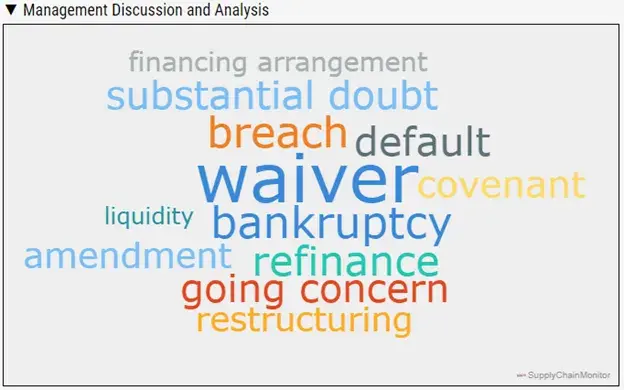The Management, Discussion, and Analysis (MD&A) Word Cloud