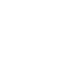 the-frisk-score-icon